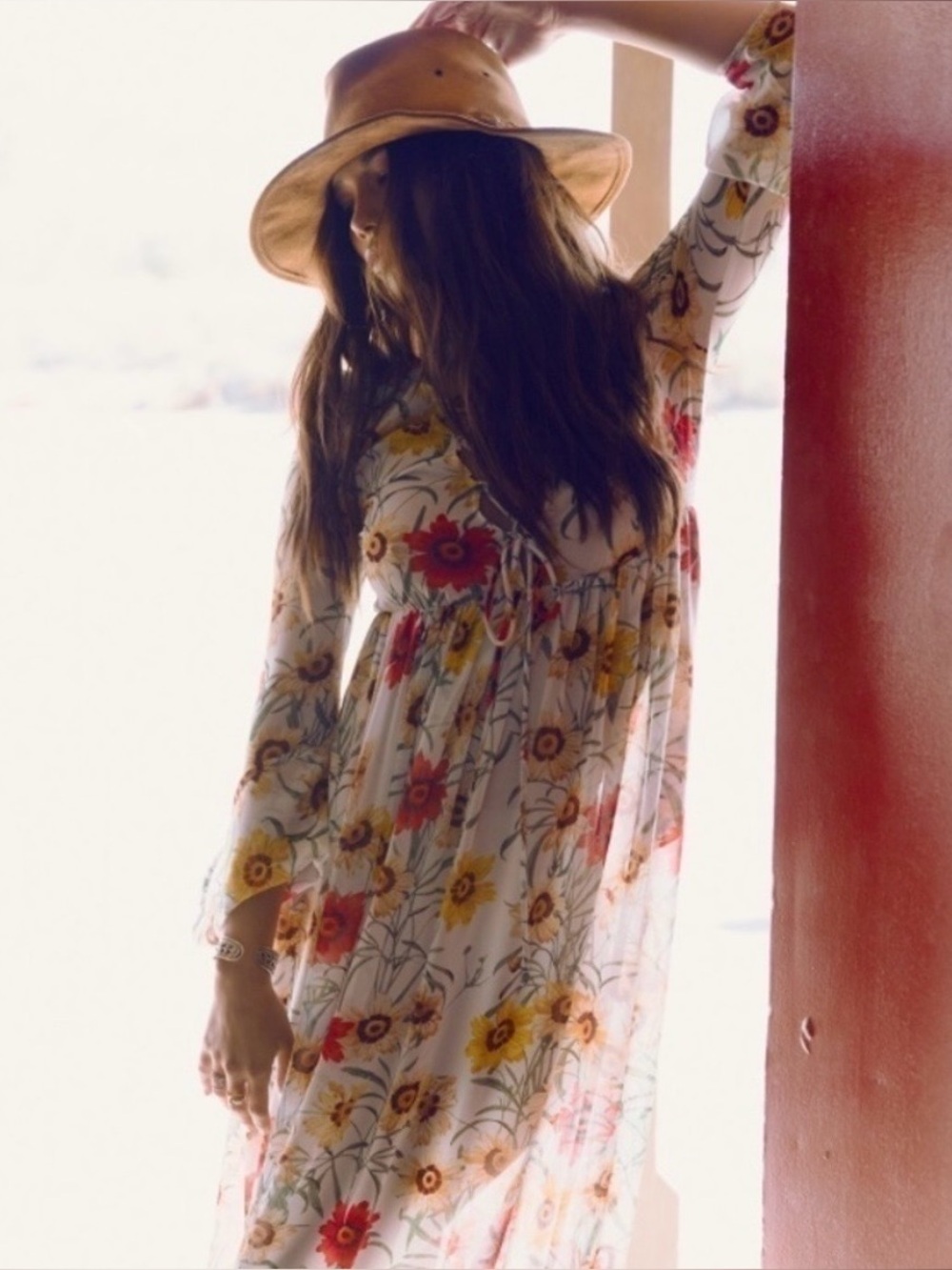 Wildfox Sheer Maxi Dress